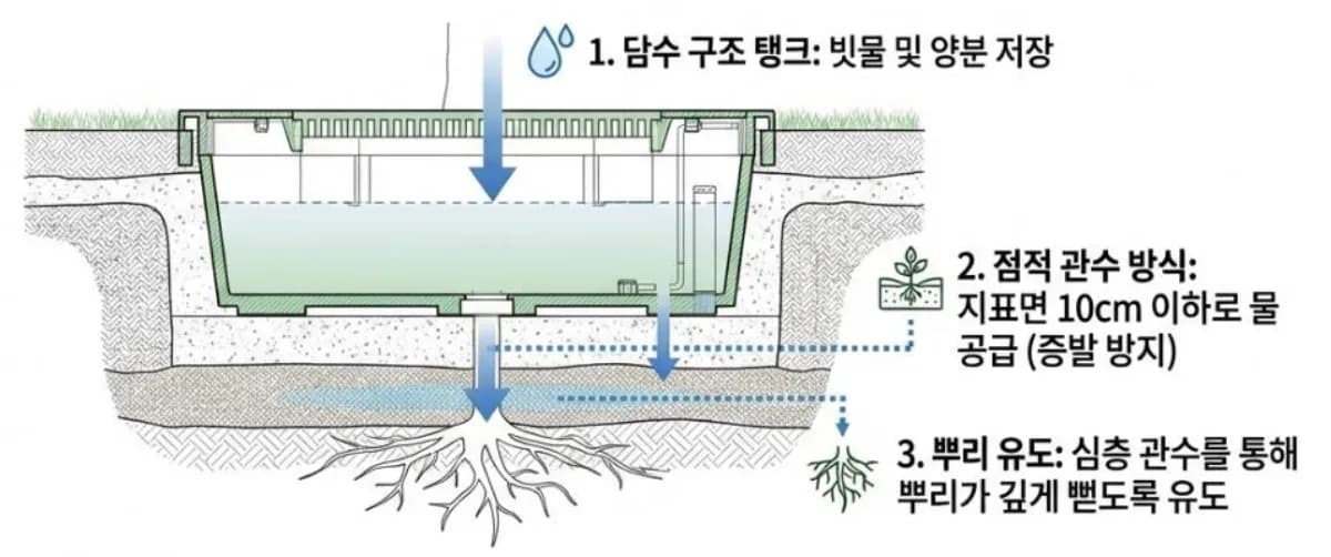 관수 3단계 구조 단면도 — 담수 탱크에서 지표 10cm 이하 점적 관수를 거쳐 심층 뿌리로 수분을 유도하는 구조